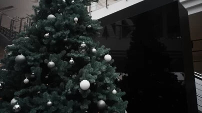 25 грудня та 1 січня — вихідні дні